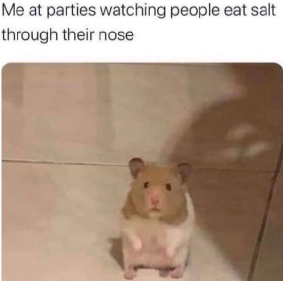 Me at parties watching people eat salt through their nose
