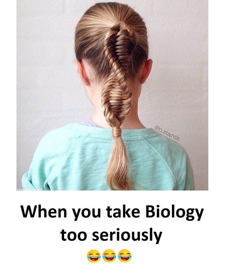 When you take biology too seriously n.starck