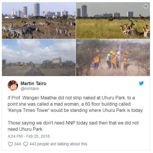 Martin tairo mmtairo if prof. wangari maathai did not strip naked at uhuru park