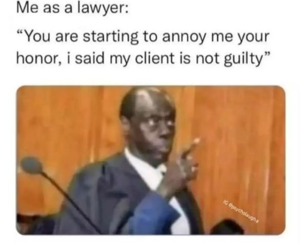 Me as a lawyer You are starting to annoy me your honor i said my client is not g