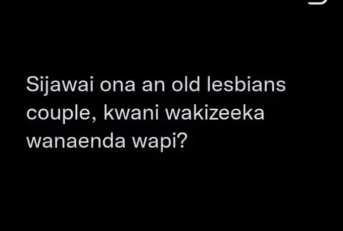 Sijawai ona an old lesbians couple kwani wakizeeka wanaenda wapi?