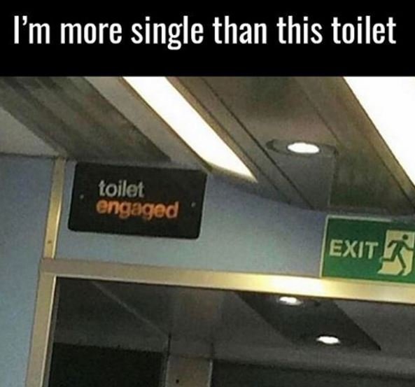 Im more single than this toilet toilot engagod exit