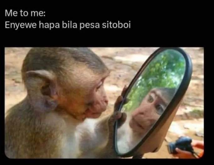 Me to me enyewe hapa bila pesa sitoboi