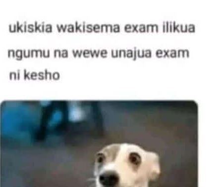 Ukiskia waklsema exam illkua ngumu na wewe unajua exam ni kesho