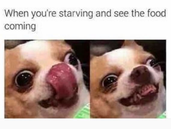 When youre starving and see the food coming