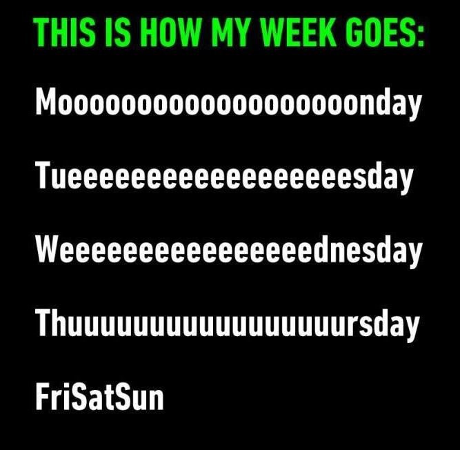 This is how my week goes mooooooooooooooooooonday tueeeeeeeeeeeeeeeeeesday weeee