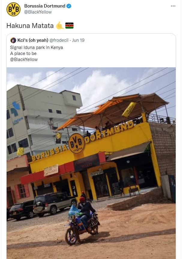 Bv borussia dortmund blackyellow hakuna matata kci's oh yeah frodecii jun 19 sig