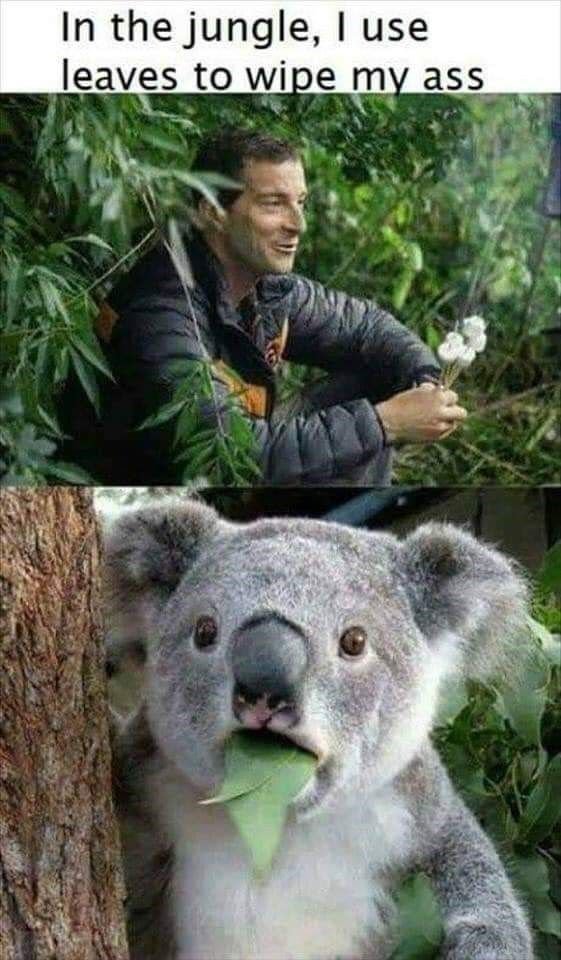 In the jungle, use leaves to wipe my ass