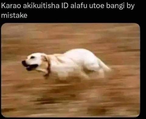Karao akikuitisha id alafu utoe bangi by mistake