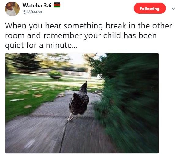 Wateba 3.6 iwateba following when you hear something break in the other room and