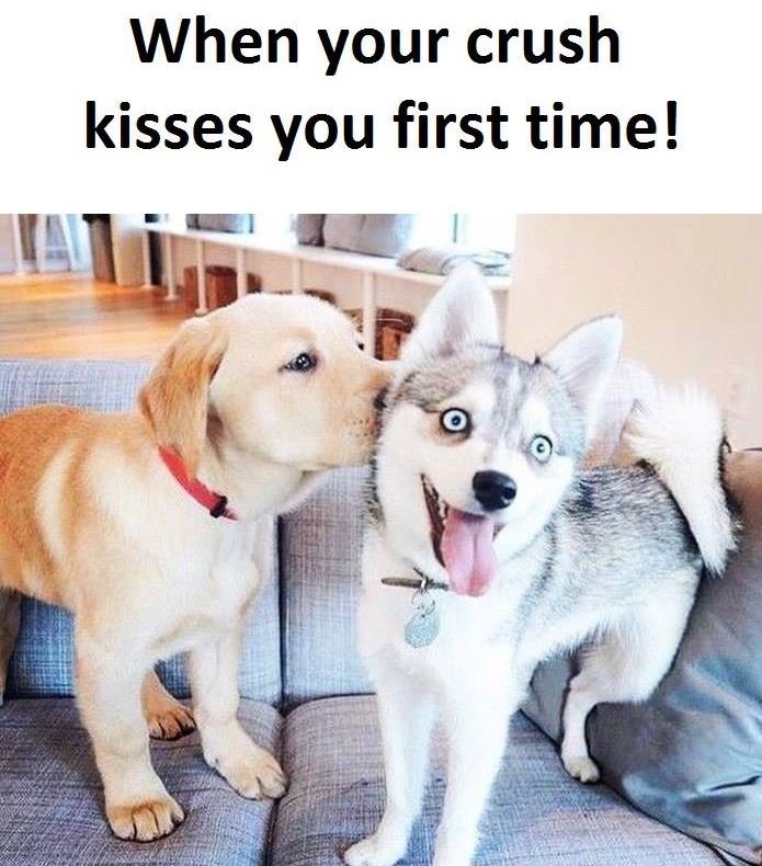When your crush kisses you first time!