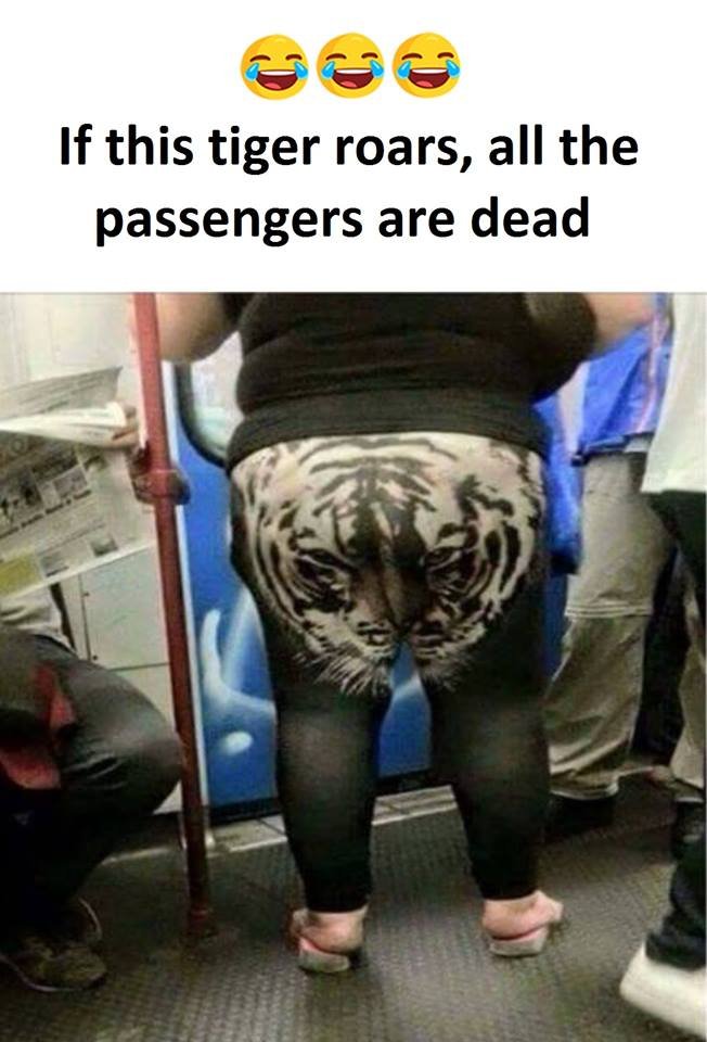 If this tiger roars, all the passengers are dead