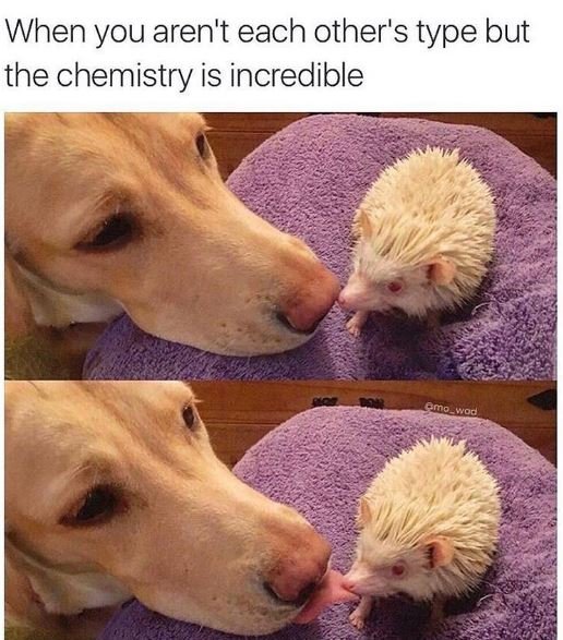 When you aren't each other's type but the chemistry is incredible