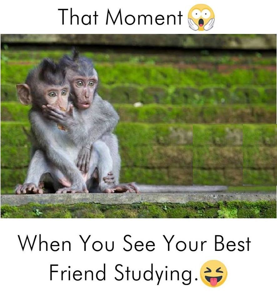 That moment when you see your best friend studying.
