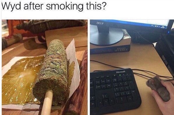 Wyd after smoking this? ed