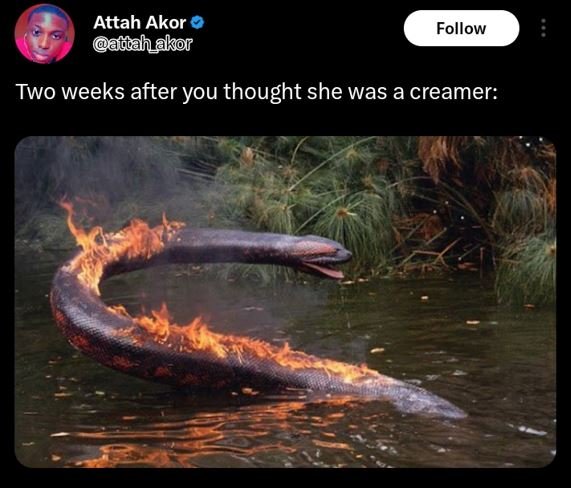 Attah akor àahakor follow two weeks after you thought she was a creamer