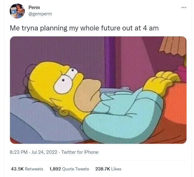 Perm gemperm me tryna planning my whole future out at 4 am 8.23 pm jul 24, twitt