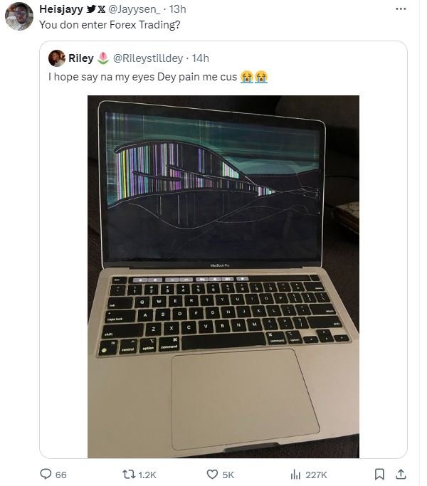 Heisjayy x jayysen _ 13h you don enter forex trading? riley rileystilldey . 14h