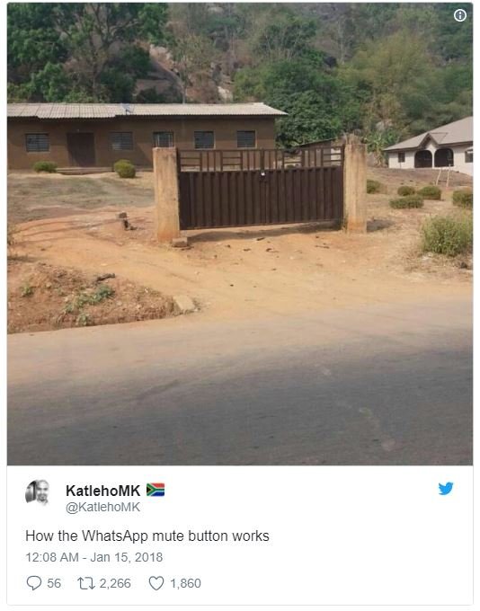 Katlehomk katlehomk how the whatsapp mute button works 12.08 am jan 15, 17 2,266