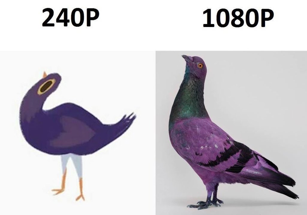 240p 1080p