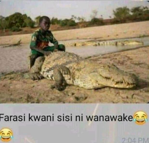 Farasi kwani sisi ni wanawake 7.04 p