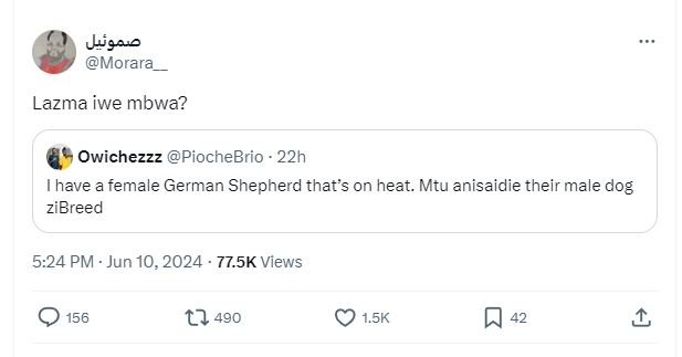 Usac morara_ lazma iwe mbwa? owichezzz piochebrio 22h ihave a female german shep
