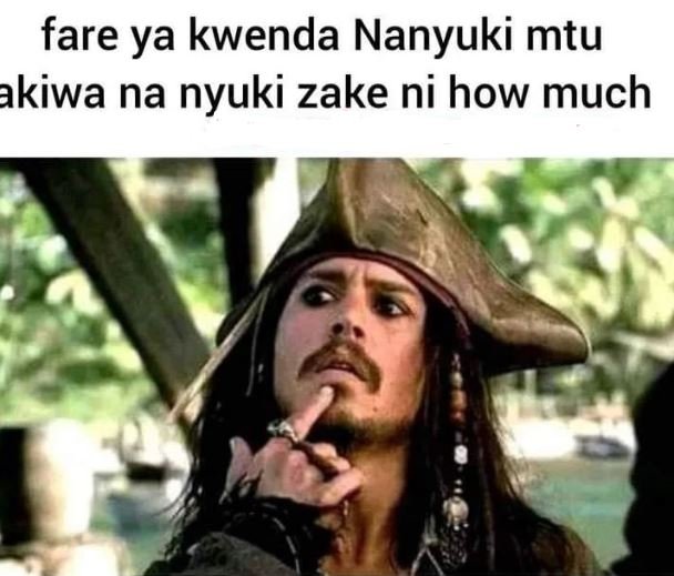 Fare ya kwenda nanyuki mtu kiwa na nyuki zake ni how much