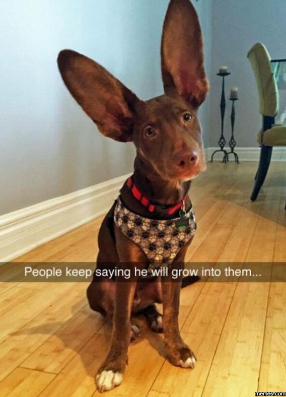 People keep saying he will grow into them