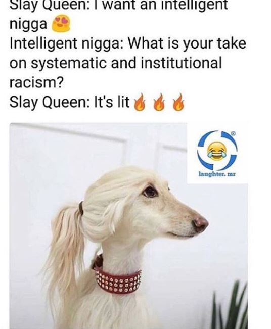 Slay queen want an ıntellgent nigga intelligent nigga what is your take on syste