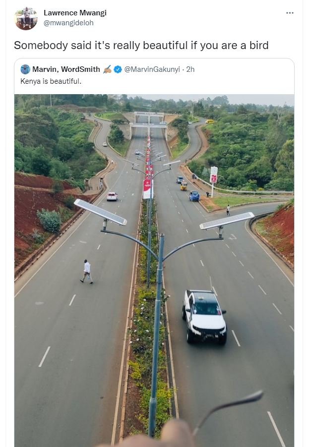 Lawrence mwangi mwangideloh somebody said it's really beautiful if you are a bir