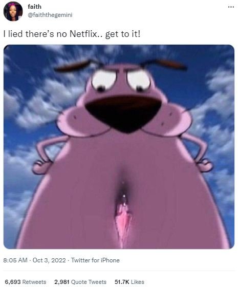 Faith faiththegemini lied there's no netflix.. get to it! 8.05 am oct 3, twitter