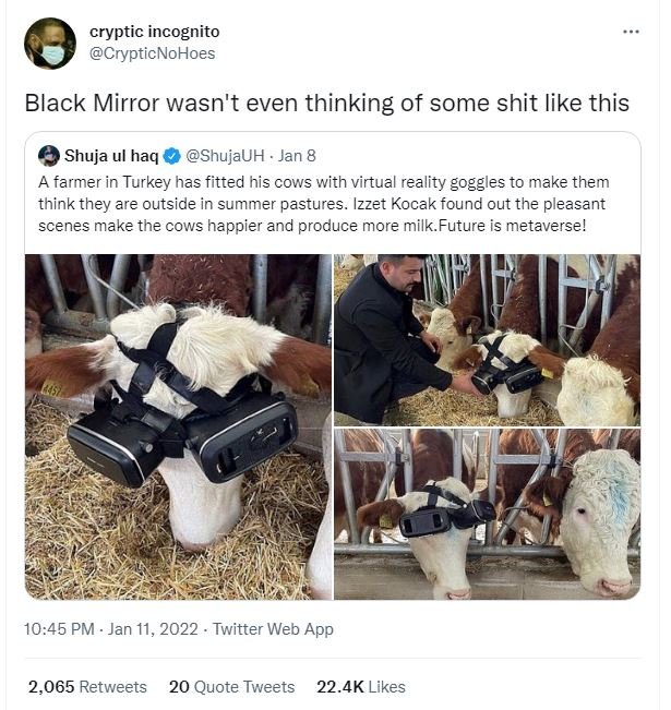 cryptic incognito CrypticNoHoes Black Mirror wasn't even thinking of some shit l