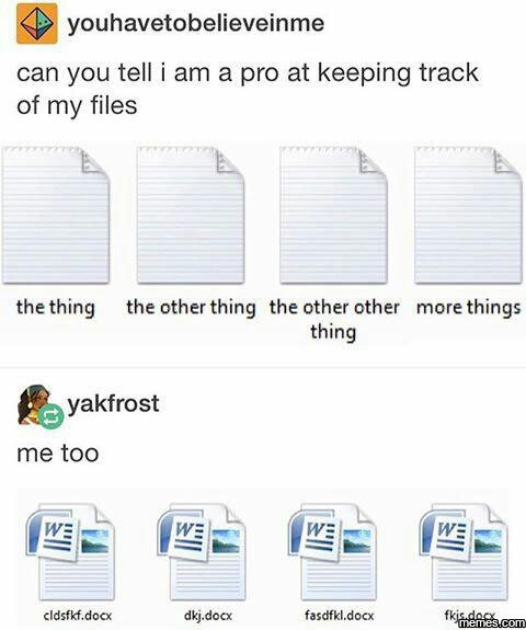 Youhavetobelieveinme can you tell am a pro at keeping track of my files the thin