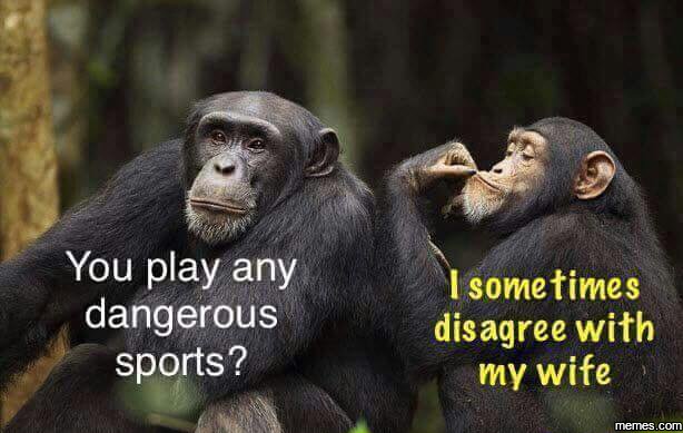 You play any dangerous sports? isometimes disagree with my wife meme