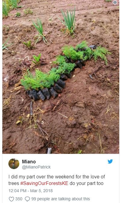 Miano mianopatrick did my part over the weekend for the love of trees savingourf