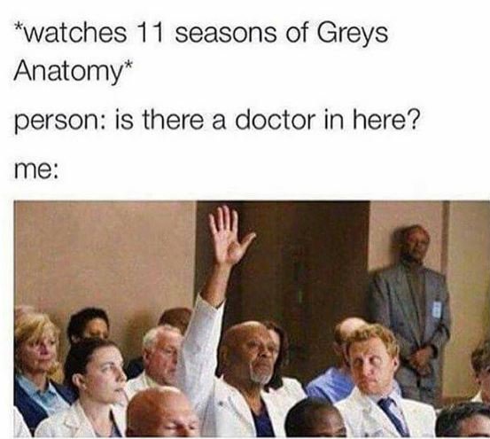 Watches 11 seasons of greys anatomy person is there a doctor in here? me