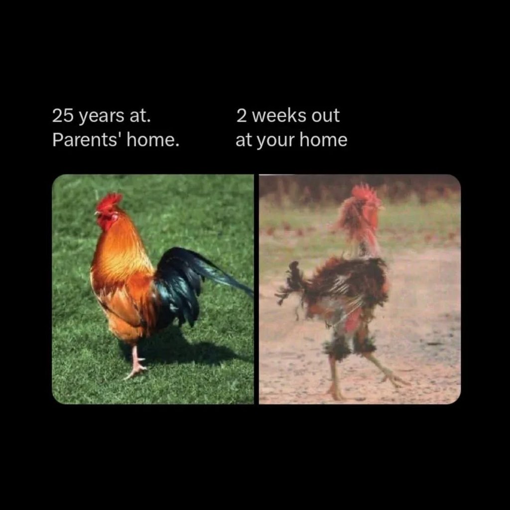 25 years at. parents' home. 2 weeks out at your home