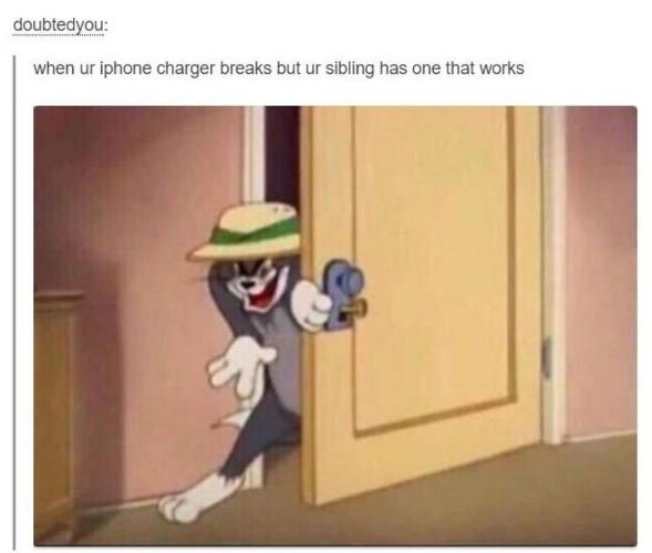 Doubtedyou when ur iphone charger breaks but ur sibling has one that works