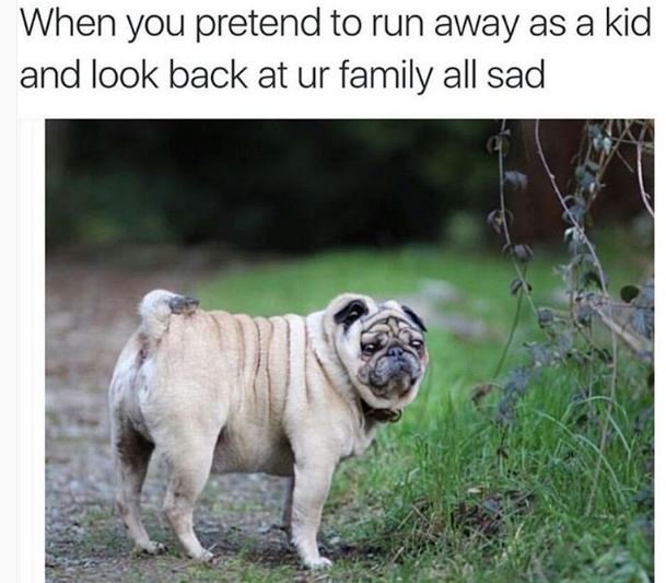 When you pretend to run away as a kid and look back at ur family all sad