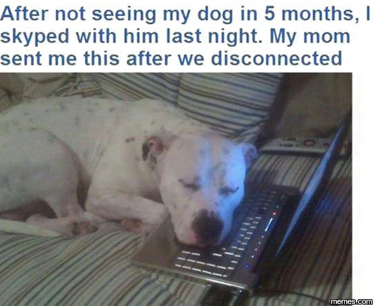 After not seeing my dog in 5 months , skyped with him last night. my mom sent me