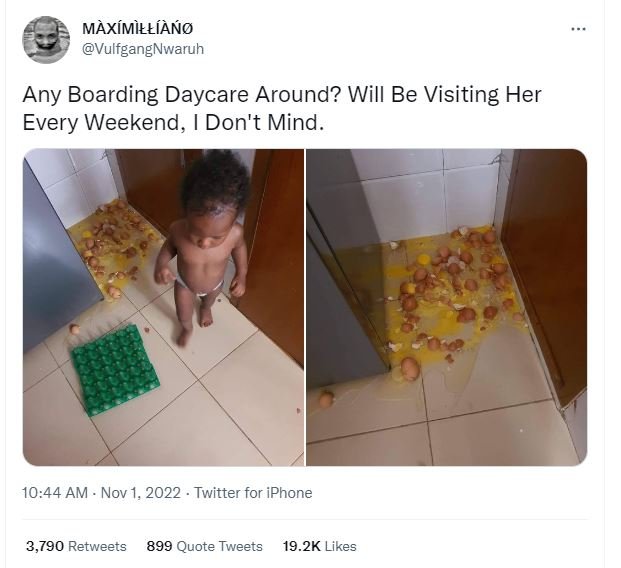 Màxímàłłíà vulfgangnwaruh any boarding daycare around? will be visiting her ever