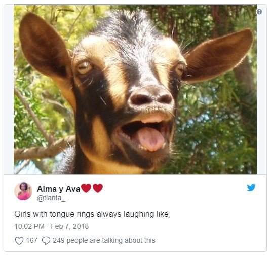 Alma y ava tianta girls with tongue rings always laughing like 10.02 pm feb 7, 1