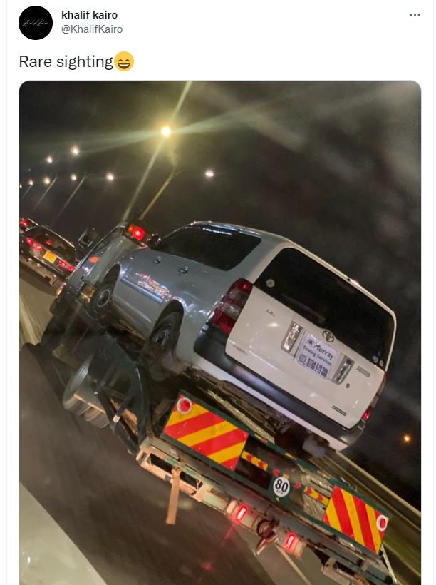 Khalif kairo khalifkairo rare sighting iie