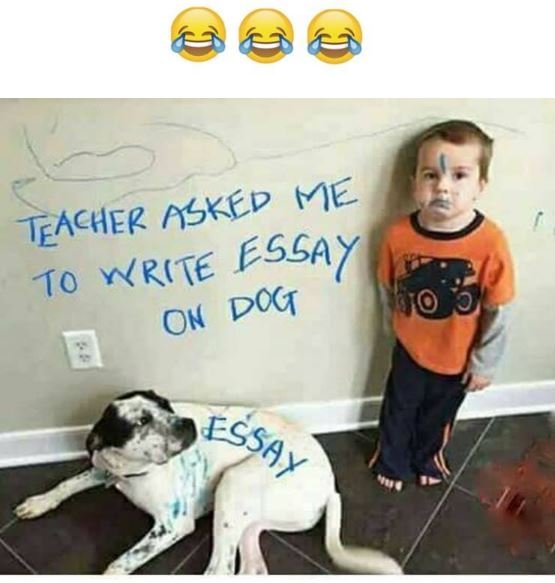 Asked me teacher wrte essay t0 on dog essay