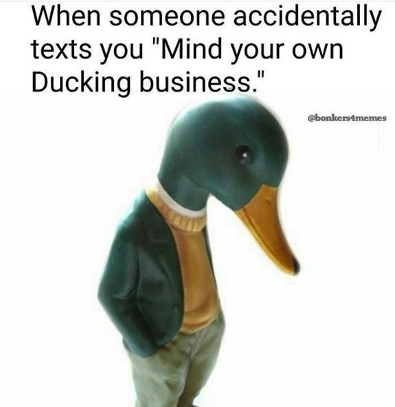 When someone accidentally texts you mind your own ducking business bonkersamcncs
