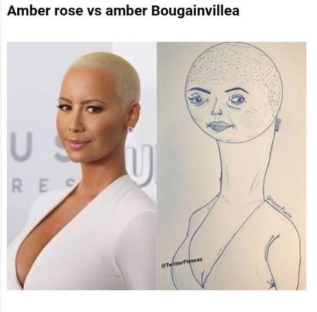 Amber rose vs amber bougainvillea u r e