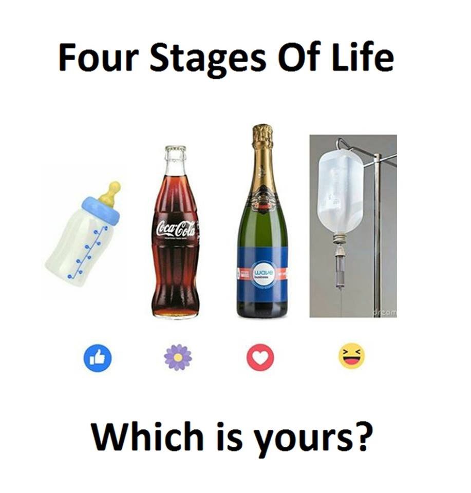 Four stages of life ccggeus which is yours?
