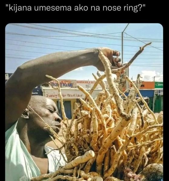 Kijana umesema ako na nose ring? jo? nlo