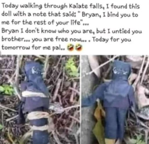 Today walking through kaiate falls, i found this doll with 0 note thot soid brya