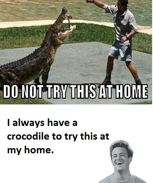 Do i0t try thisdt hoiie always have a crocodile to try this at my home.